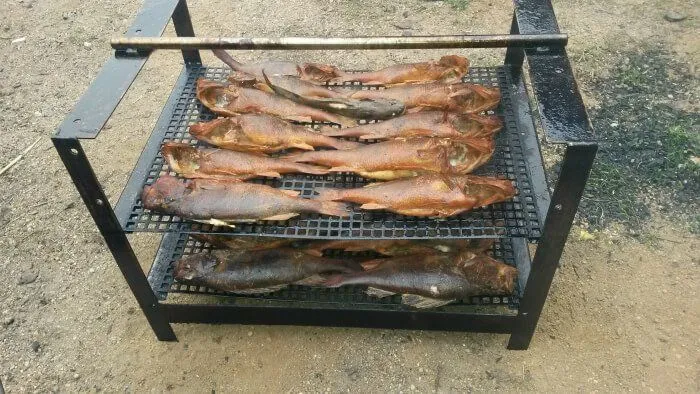 Правильное холодное копчение