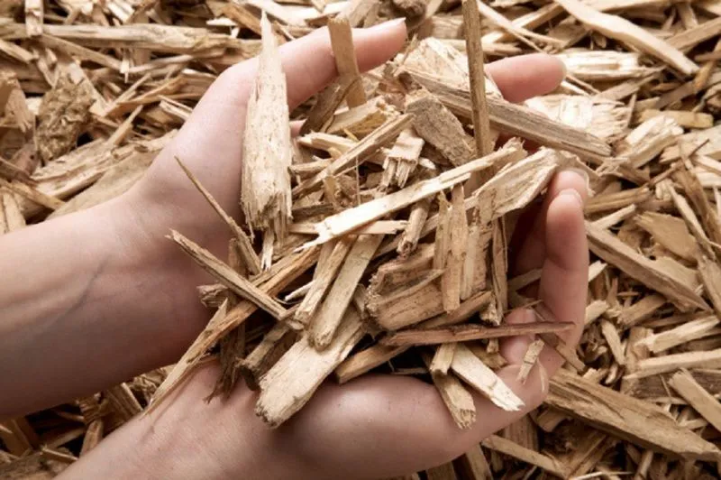 Как заготовить щепу
