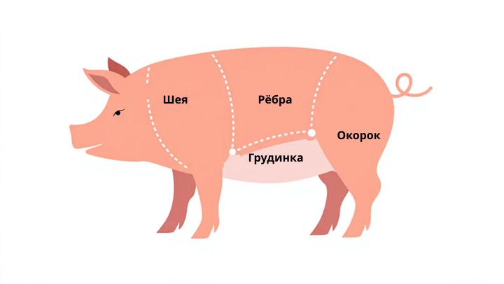 лучшие части свинины для шашлыка