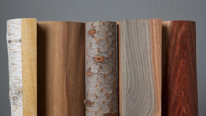 древесная зола