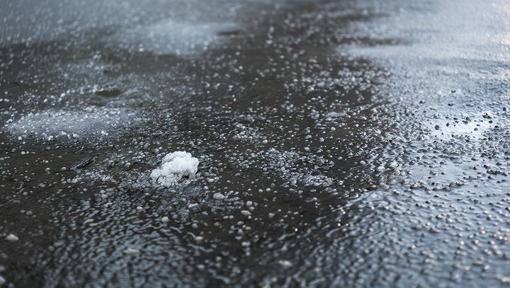 соль на дачном участке соль на дачном участке